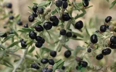 失眠气色差是什么原因,对抗失眠最有效方法