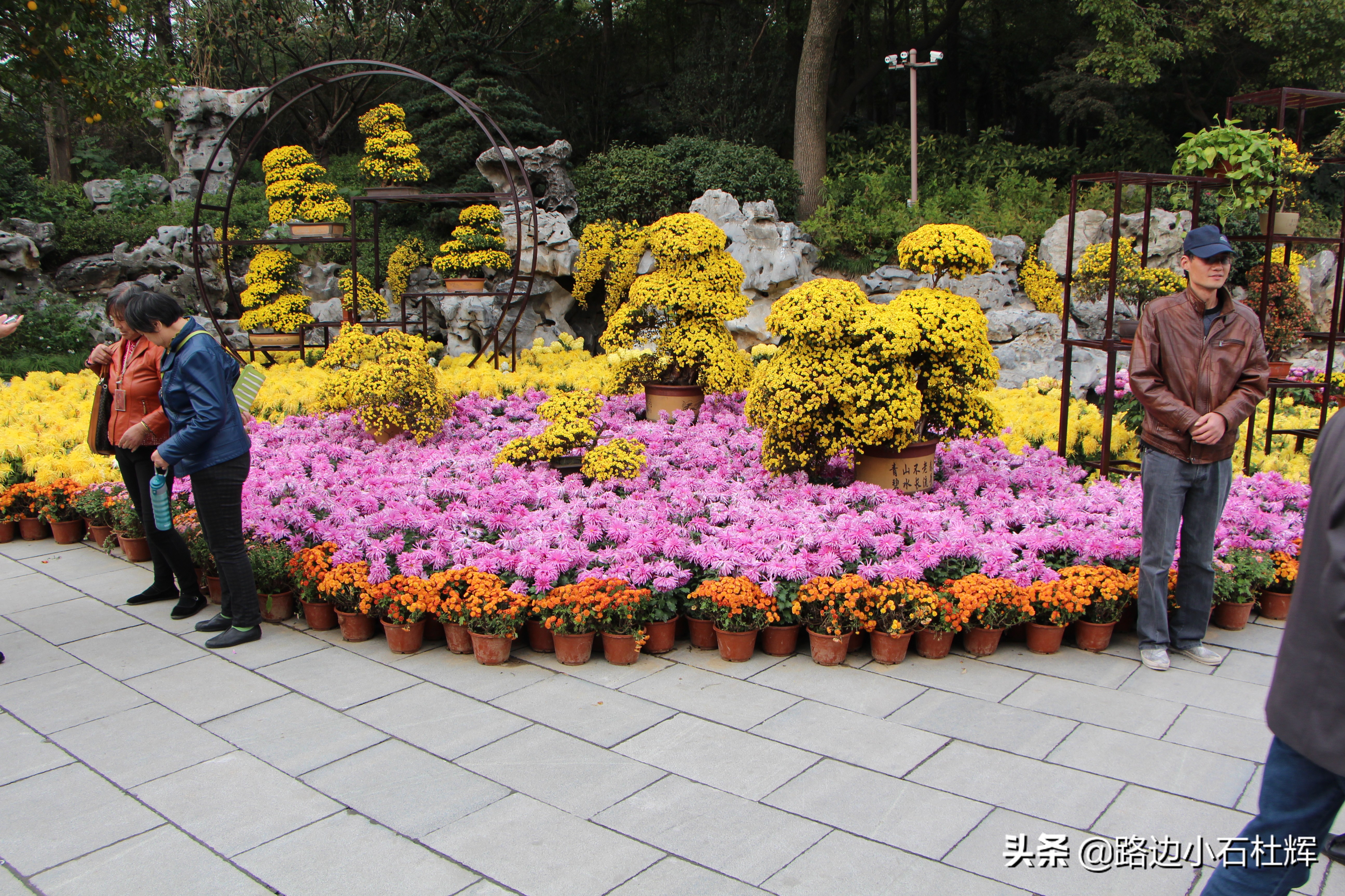 扬州瘦西湖之行,扬州瘦西湖游一圈