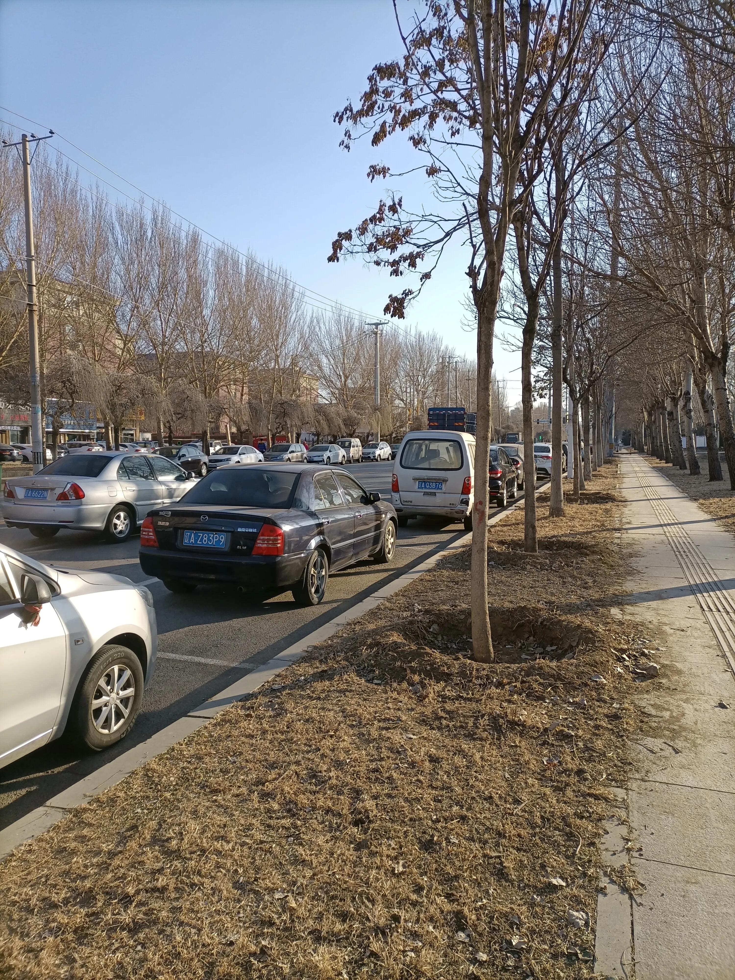 手捧感恩的心图文,手捧爱心感恩有你