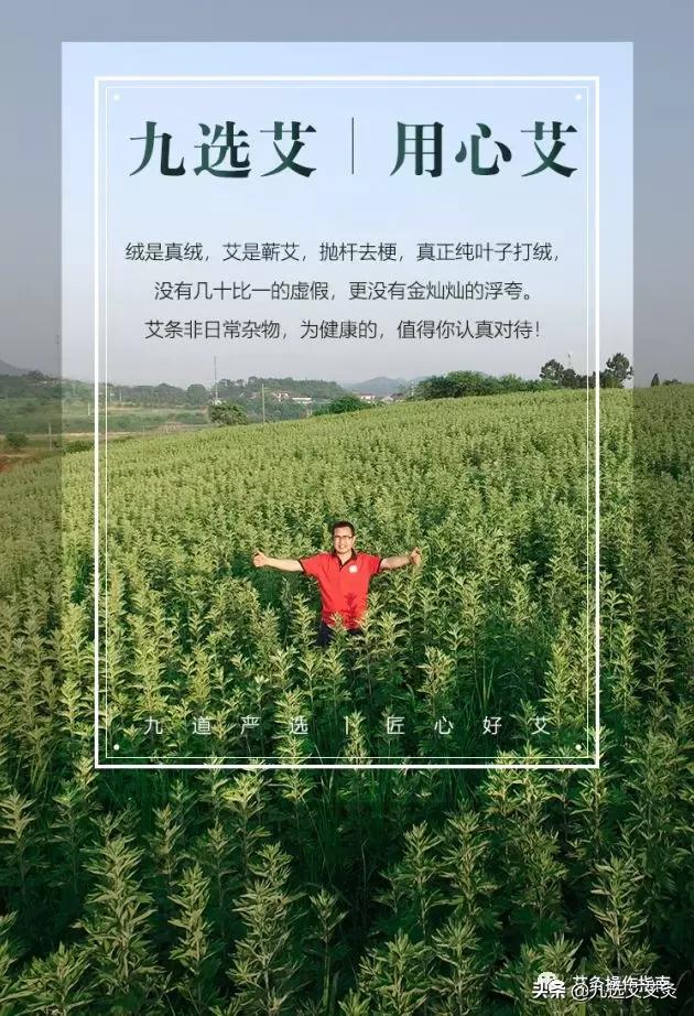 豁出去了,豁出去了斩断退路才能致胜