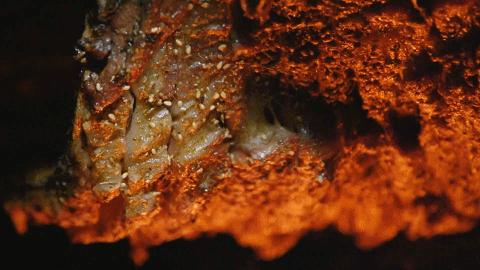 福建宵夜图鉴,上海宵夜图鉴大全