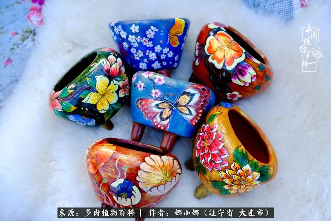 你是盆我是花，你护我周全，我为你绽放