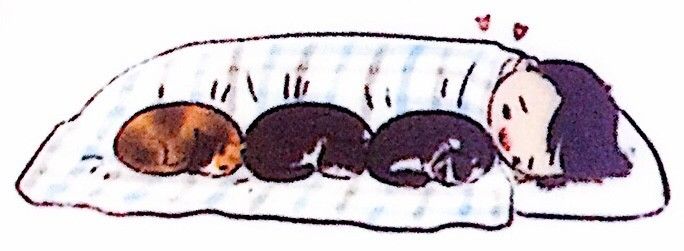 新手如何照顾小奶猫,怎么样照顾一个月左右大的小奶猫