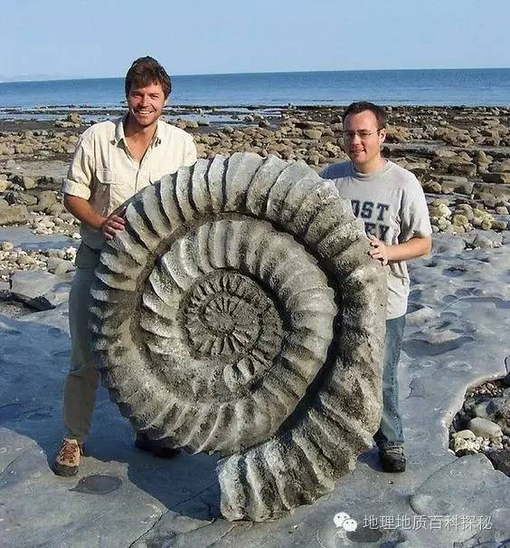 鬼斧神工地质遗珍视频,鬼斧神工的地质