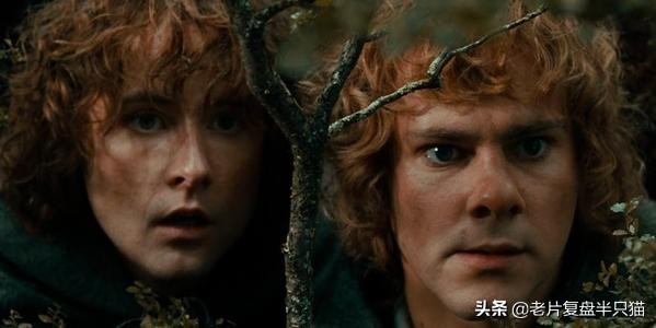 人皇阿拉贡召集亡灵大军全部视频,指环王阿拉贡是什么人