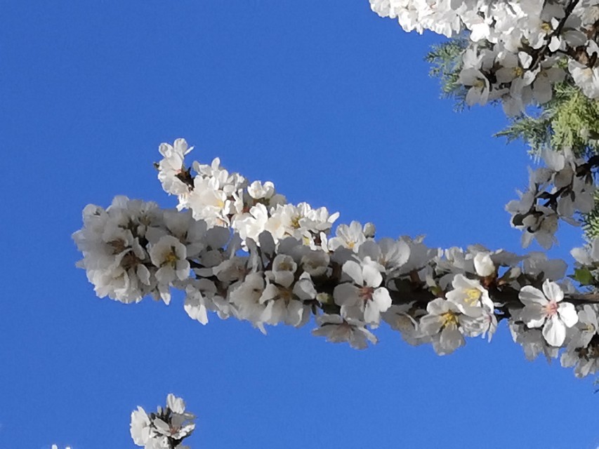 璇楃ぞ閲囬娲诲姩,浼楀垱璇楃ぞ涓冨緥