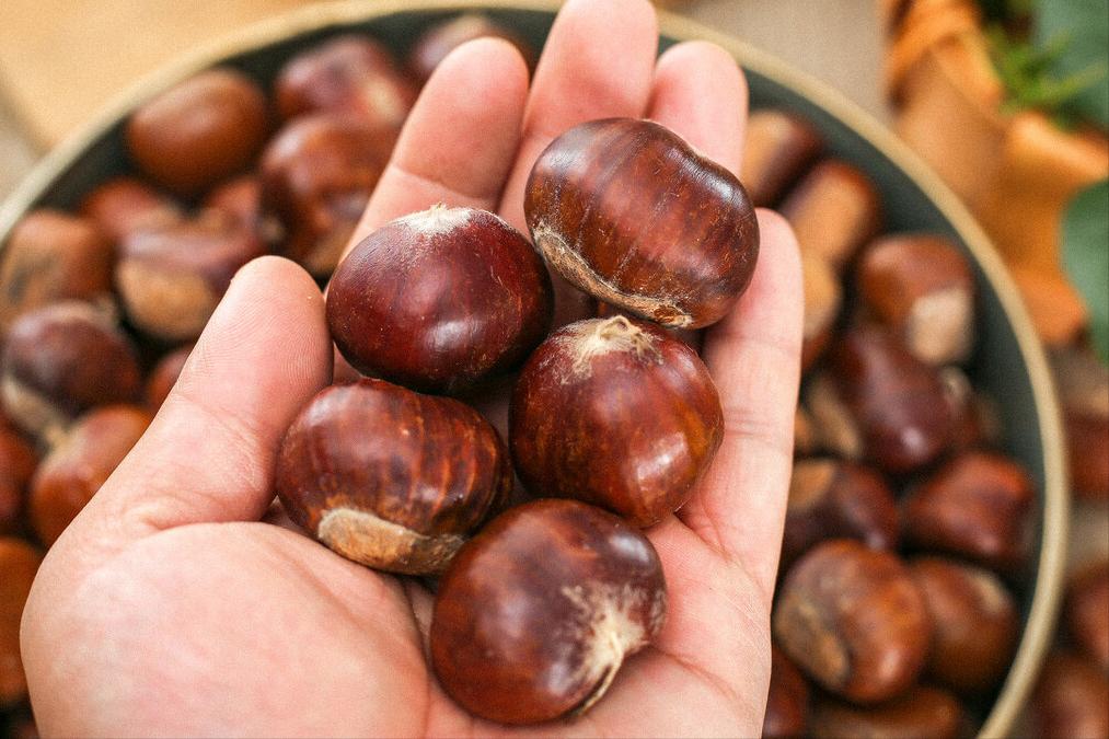 炖鸡肉时切记不要直接炖,鸡肉不用焯水怎么炖好吃又嫩呢