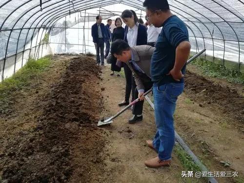 农村低投资创业项目有哪些,适合穷人的18个创业加盟项目农村