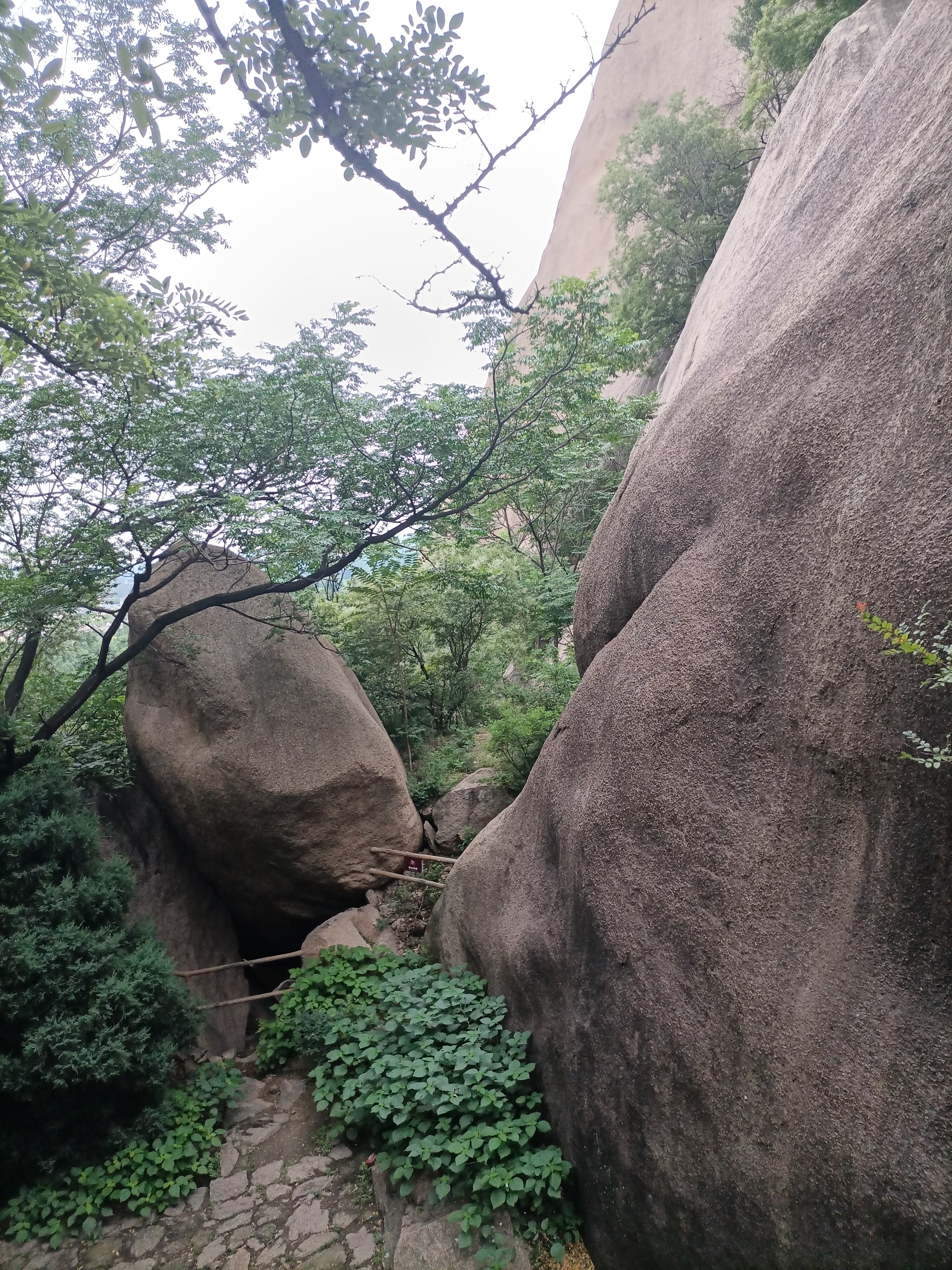 信阳到嵖岈山距离,信阳嵖岈山