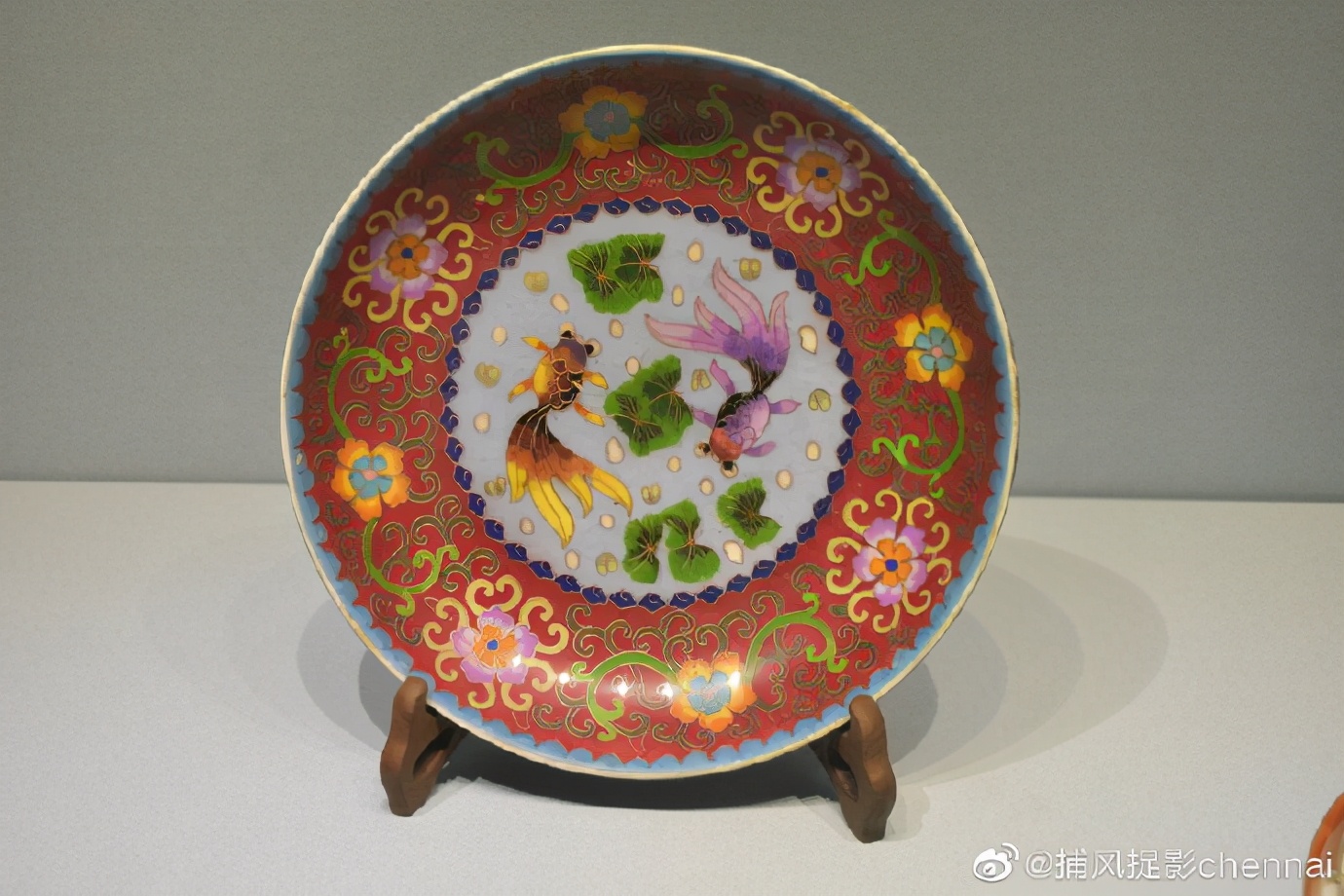 金鱼展和金鱼题材*物文**展