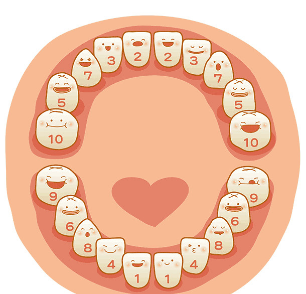 小孩换牙后牙齿钙化怎么挽救,牙齿钙化补钙有用吗