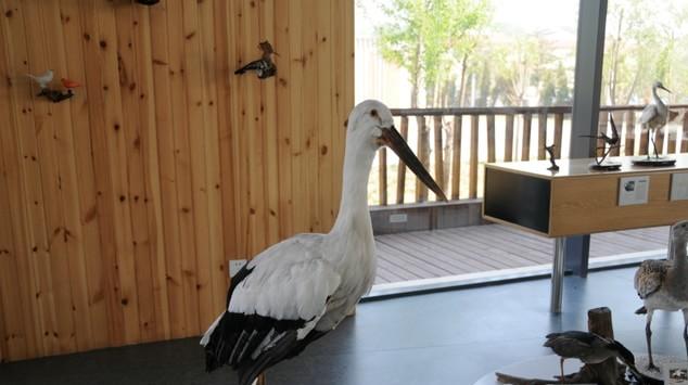 秦皇岛带孩子旅游攻略,秦皇岛带孩子游玩攻略