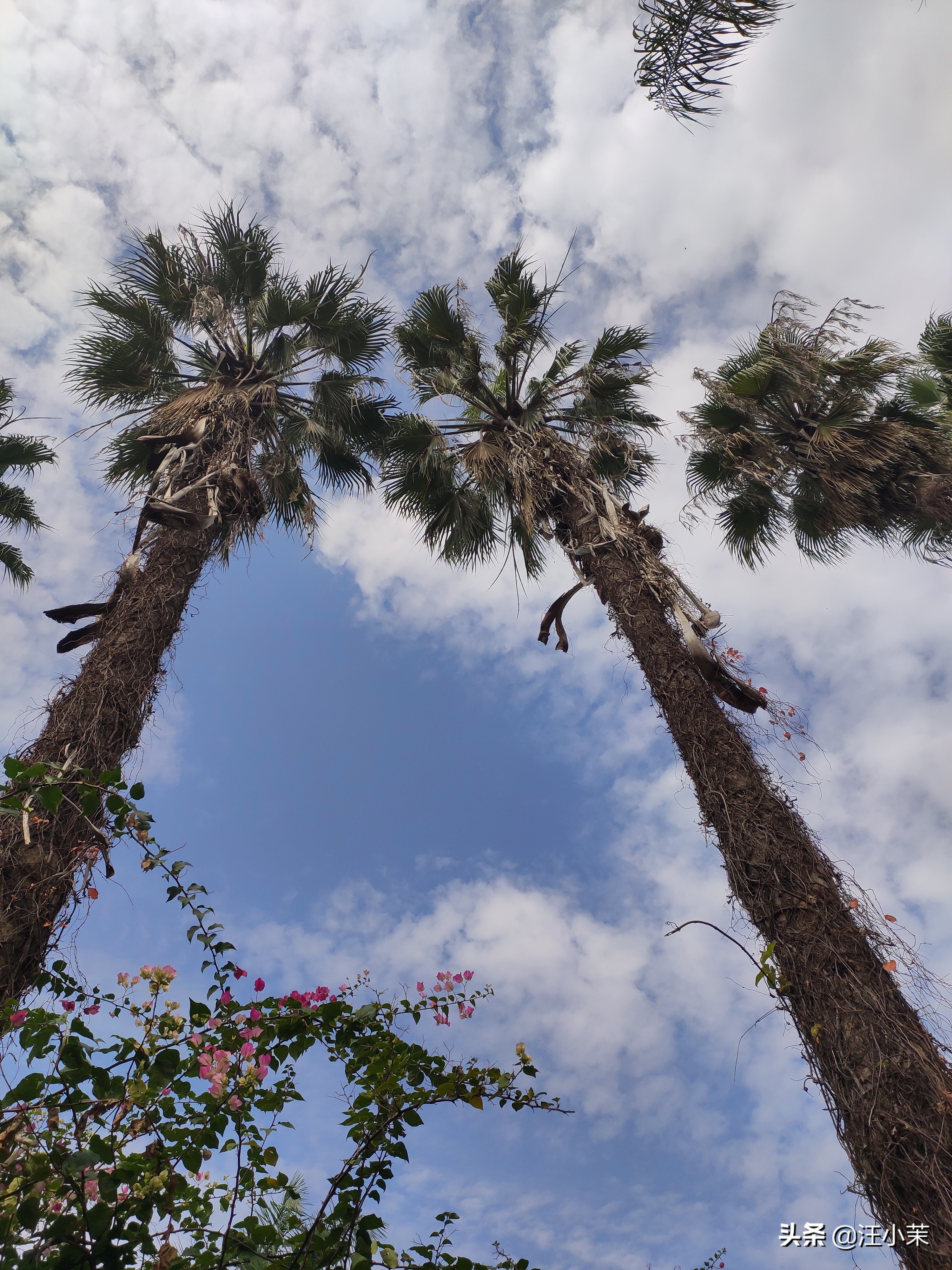 如何化解内心的压抑和焦虑,怎样不让自己压抑焦虑