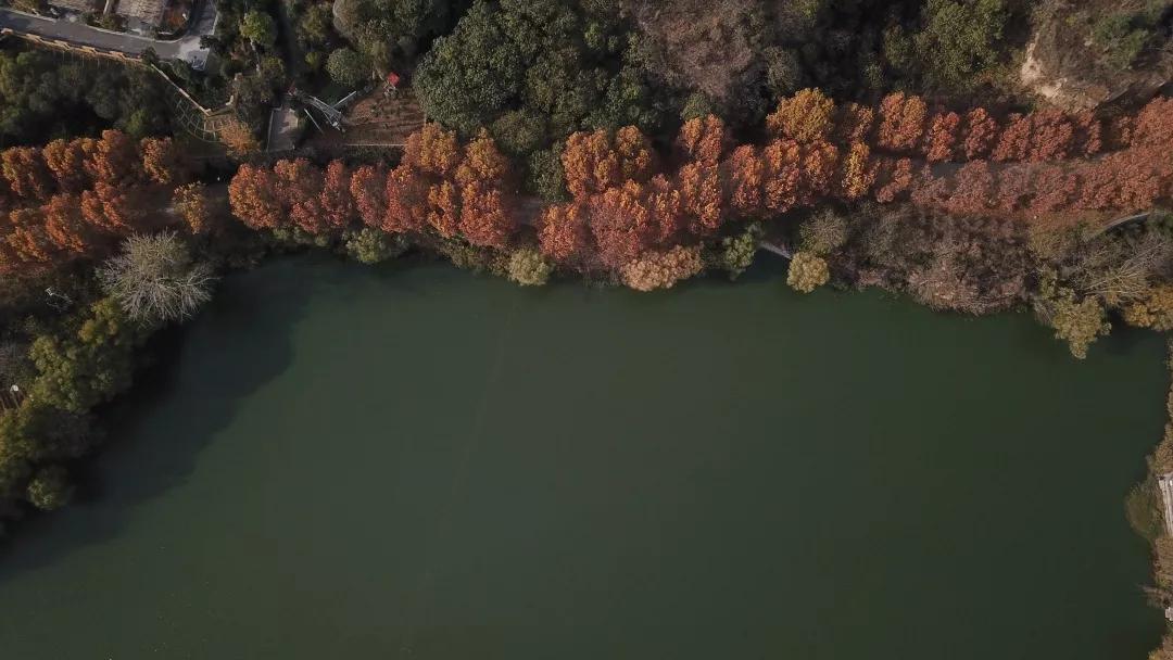 郑东新区最近的新消息,郑东新区未来趋势