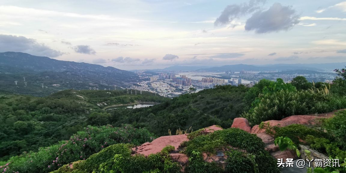 「玫瑰」「玫瑰」酒的遐思「玫瑰」「玫瑰」