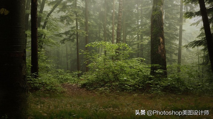 新手如何学习ps,ps手把手教你学会新手入门