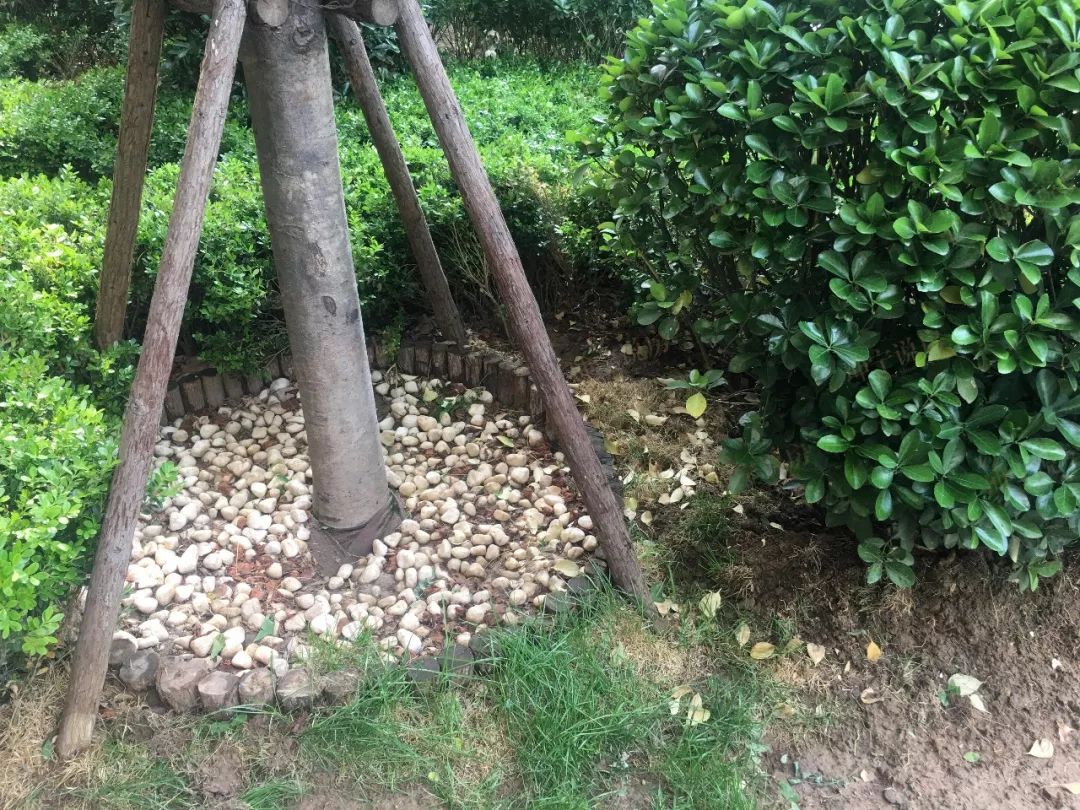 长安区哪个楼盘值得入手,长安板块楼盘有哪些好点