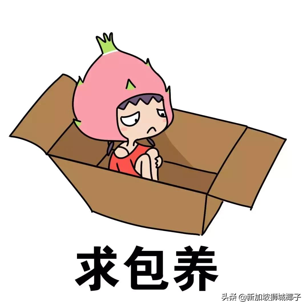 新加坡在家做的兼职有哪些,在新加坡怎么找兼职工作