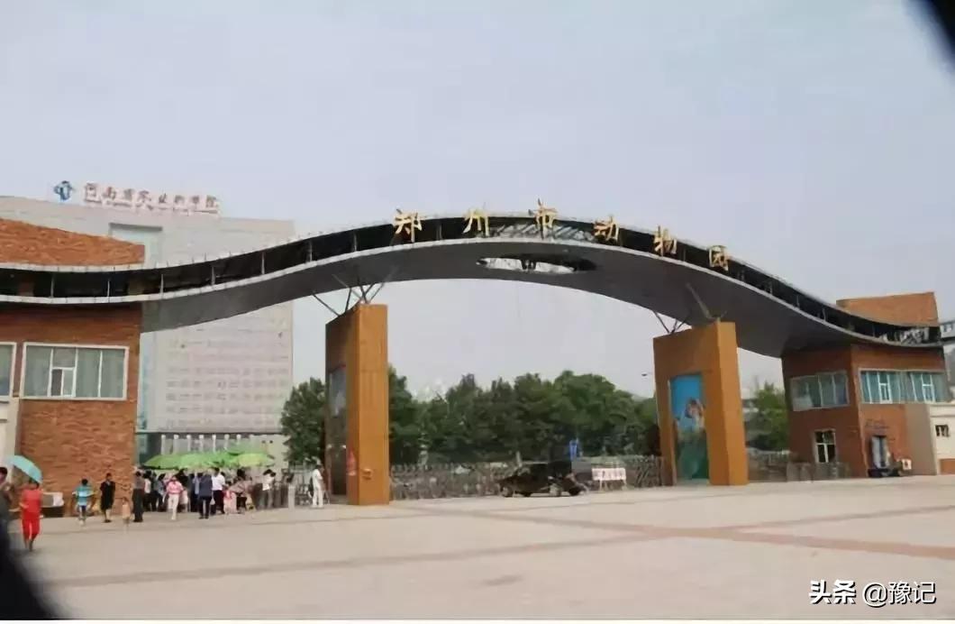 郑州十年的变化,郑州78岁老人为变年轻花30万