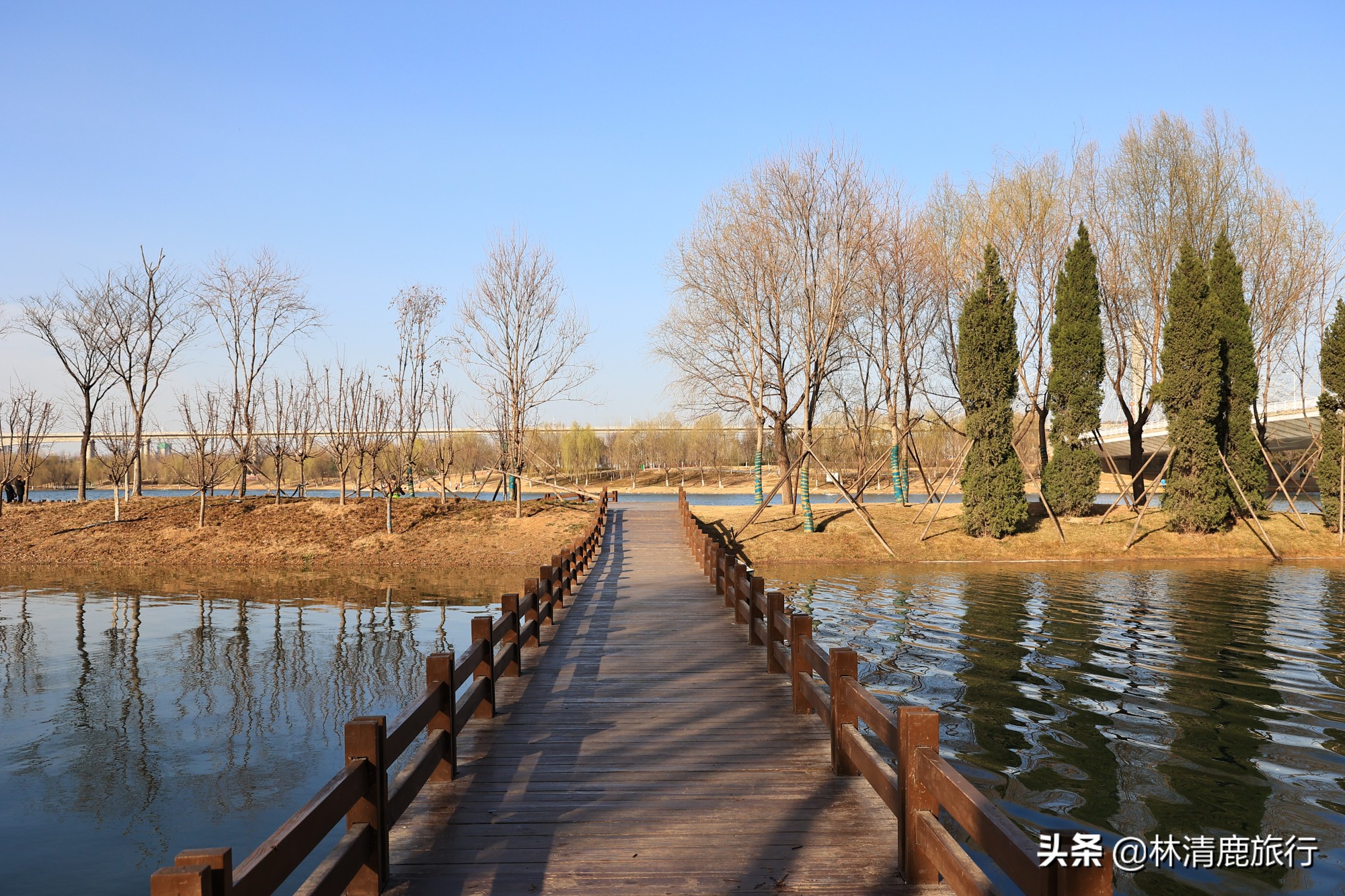 郑州免费湿地公园,郑州周围有水的公园免费景点