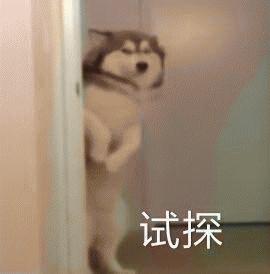 狗子老是抓自己怎么办,狗子频繁挠痒怎么办