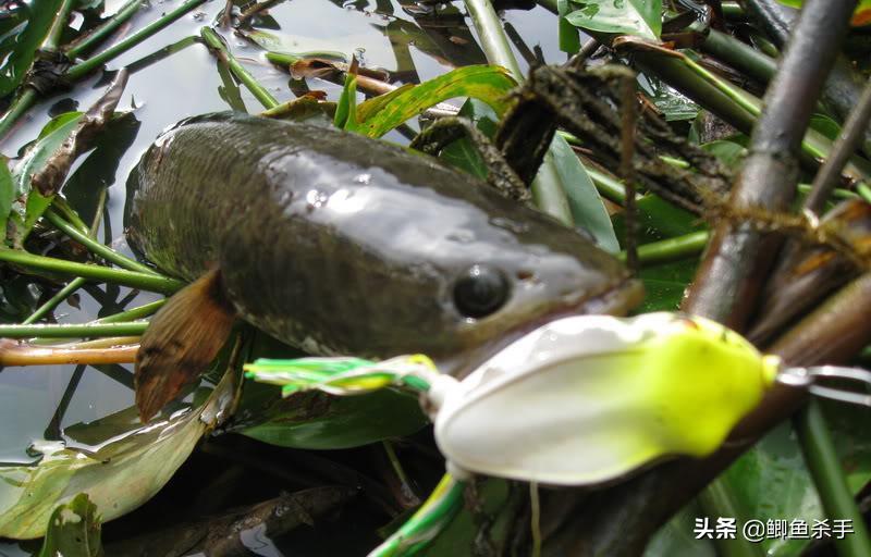 <html>
<head><title>502BadGateway</title></head>
<body>
<center><h1>502BadGateway</h1></center>
<hr><center>nginx</center>
</body>
</html>
<!--apaddingtodisableMSIEandChromefriendlyerrorpage-->
<!--apaddingtodisableMSIEandChromefriendlyerrorpage-->
<!--apaddingtodisableMSIEandChromefriendlyerrorpage-->
<!--apaddingtodisableMSIEandChromefriendlyerrorpage-->
<!--apaddingtodisableMSIEandChromefriendlyerrorpage-->
<!--apaddingtodisableMSIEandChromefriendlyerrorpage-->
