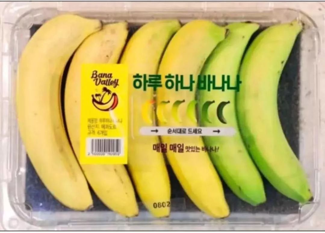 世界上第一个已经灭亡的国家,世界唯一出生率0的国家