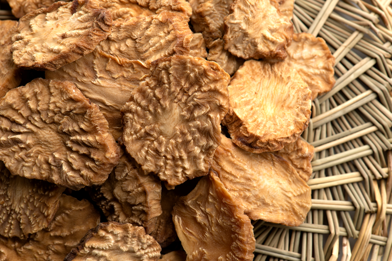 肉苁蓉适宜肾阳虚还是肾阴虚,肉苁蓉适合阳虚还是阴虚的人服用