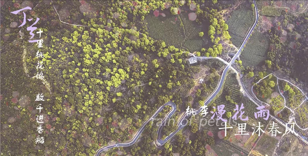 杭州|绿都•阅兰府——桃花入梦丁兰心