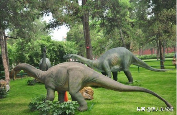 世界上十大恐龙排名英文解说,最厉害的恐龙十大排名
