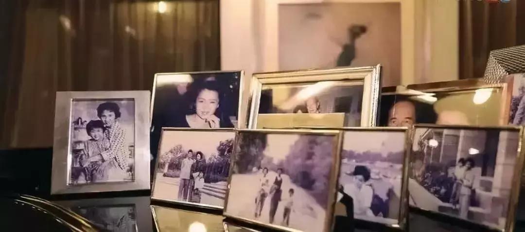 老佛爷的遗产真的由猫继承,老佛爷的所有家产最后留给了猫