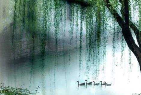 在初中生活的日子里,綦江中学上课视频