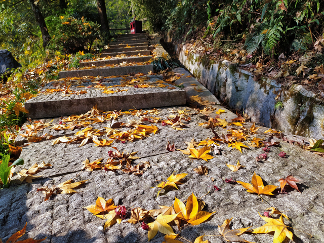 长沙有哪个古镇,长沙有名气的地方