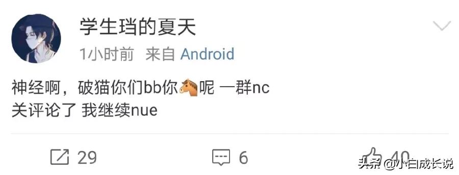 为什么虐猫会被批判,为什么现在虐猫都能上热搜