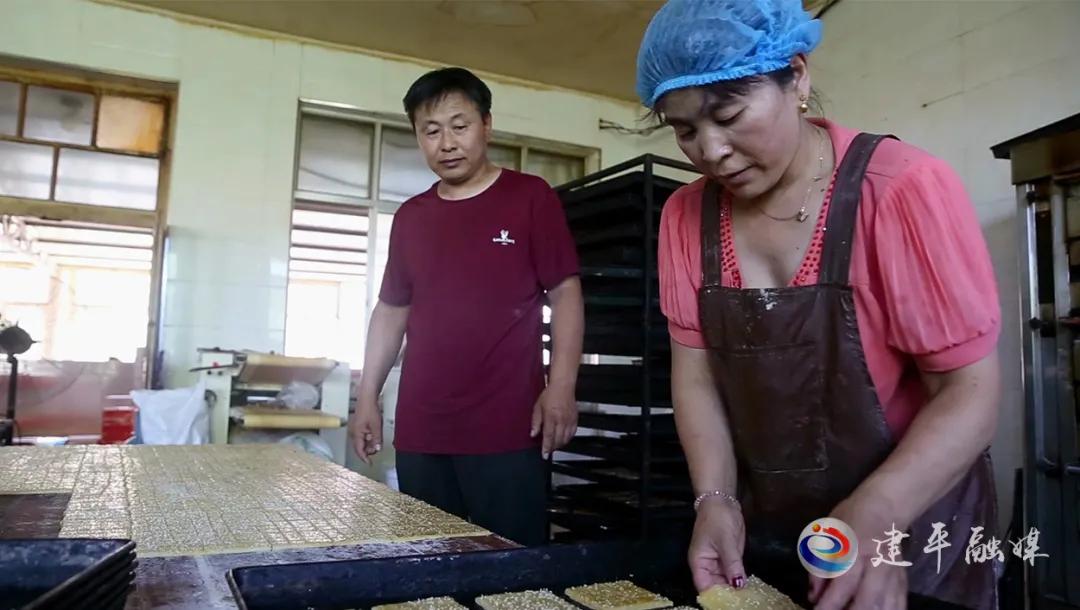 农村能人助力乡村振兴方案,乡村振兴培育致富带头人