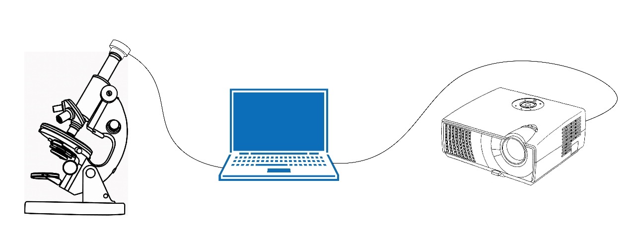 花式搞机:投影仪加上手机投屏秒变显微投影设备