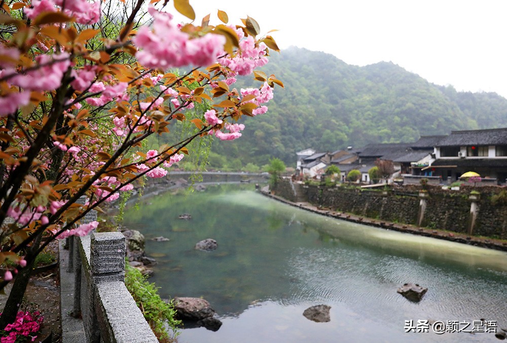 十里樱花十里尘,十五个赏樱地,赴一场樱花之恋