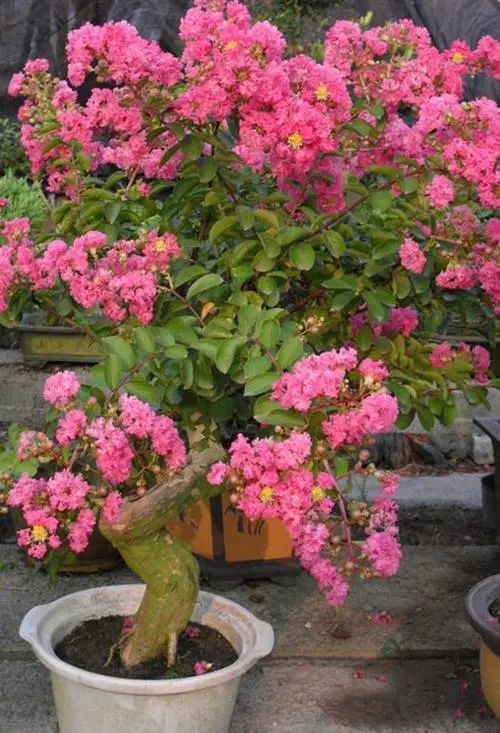 浜鸿秺鑰佽秺娌ф,鍥涘崄骞寸传钖囨爲