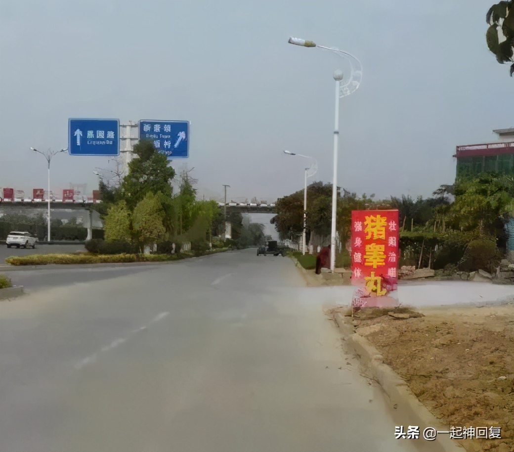 绝育猫的蛋蛋怎么处理,绝育后的猫蛋蛋怎么处理