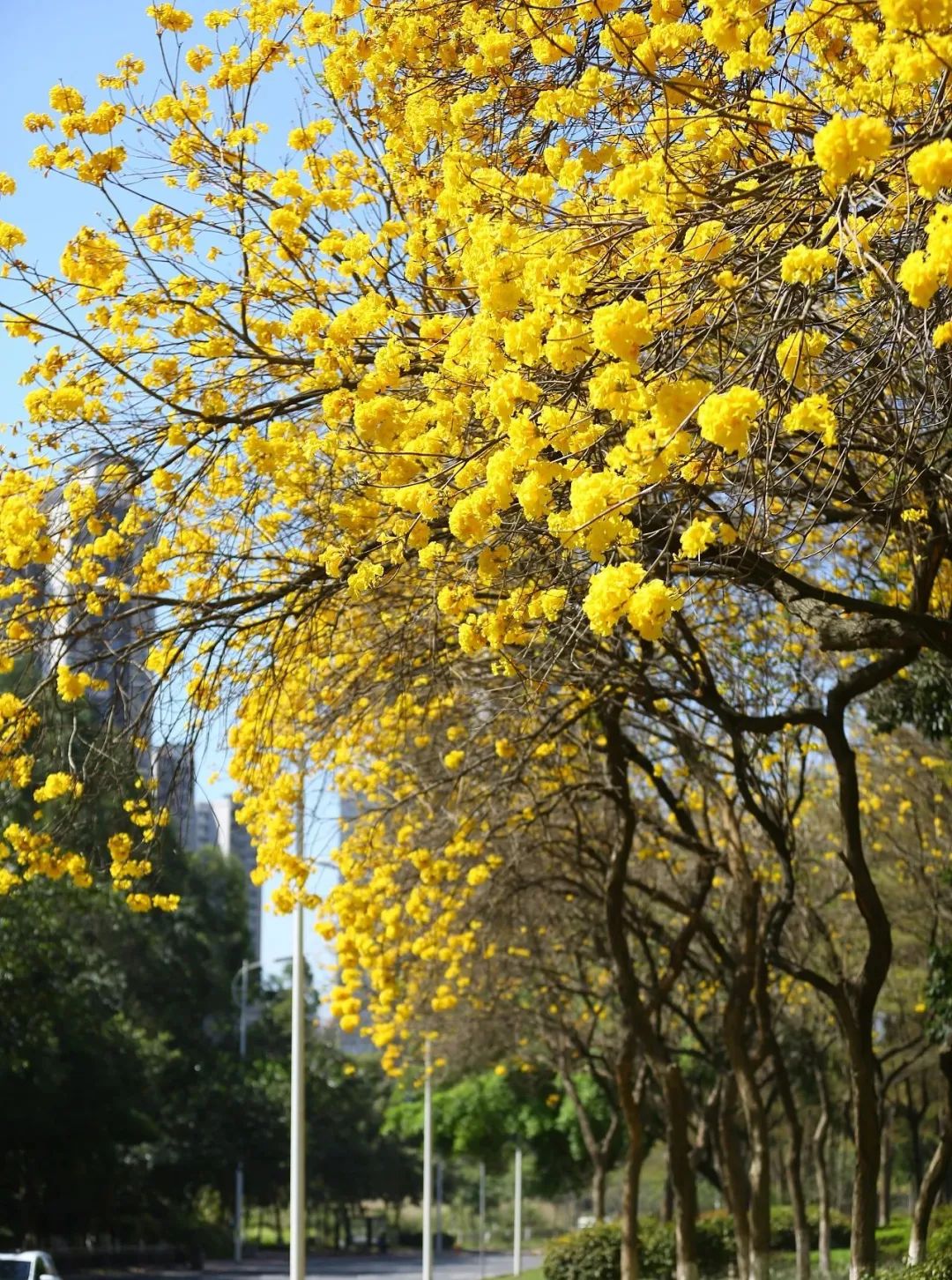 因为一首歌而爆火的城市,靠着一首歌走红的人
