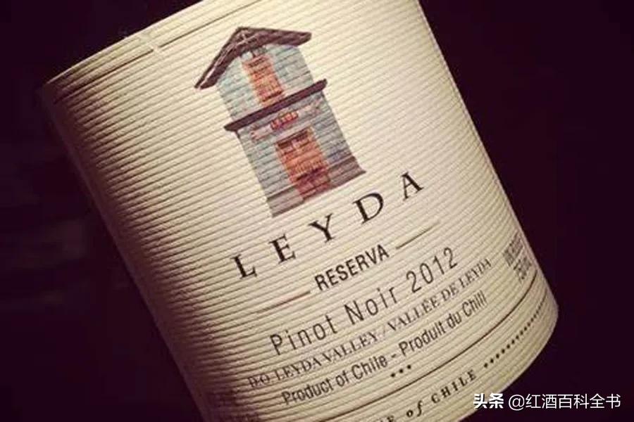 澳洲酒和智利酒,澳洲酒和智利酒的区别