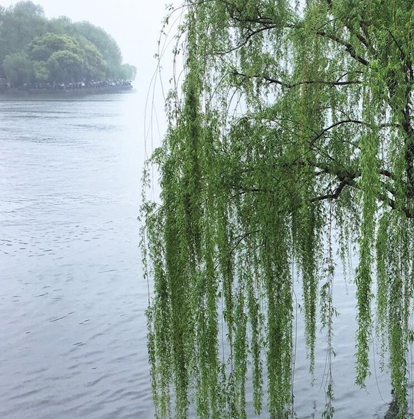 浜曞唸绾㈠鐪熷疄鐓х墖,浜曞唸绾㈠鏄摢閲屼汉