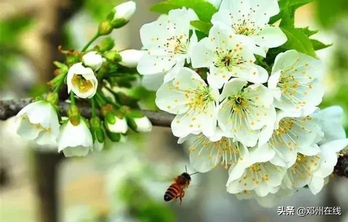 南阳最新重要新闻,河南南阳有什么大事