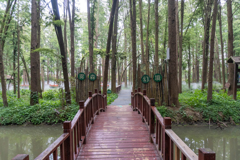 乘着高铁去踏青赏景,乘着高铁游扬州高邮北