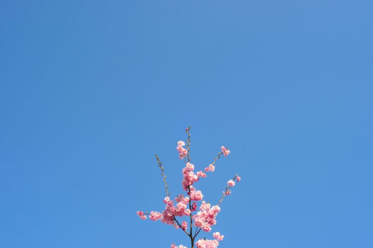 白羊座积极的人生态度,白羊座人格性格分析