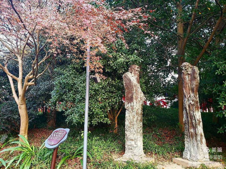 绝美西溪,西溪南冬季景色