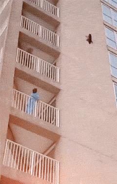 把车标全部抠掉违法吗,把车标抠下来清灰