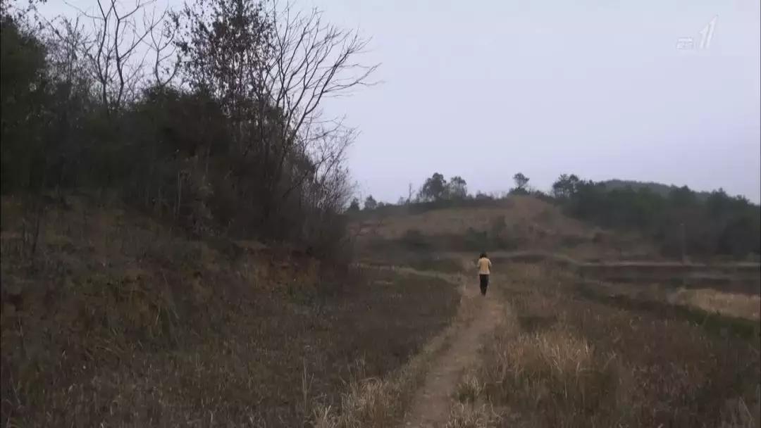 从留守儿童到三和大神，中国穷人为什么会陷入穷循环？