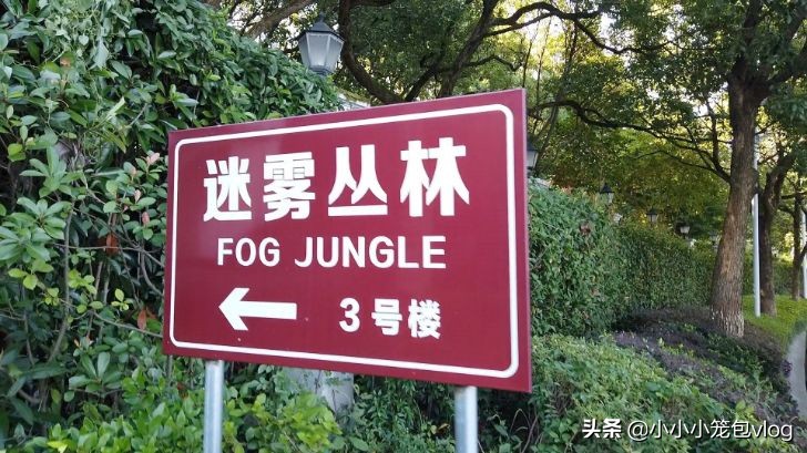 在千岛湖小岛上生活,千岛湖慢生活街区