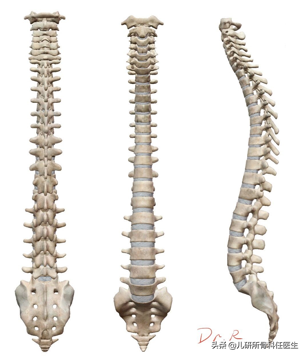 儿童含胸驼背怎么矫正最有效,孩子有点含胸驼背要怎样矫正